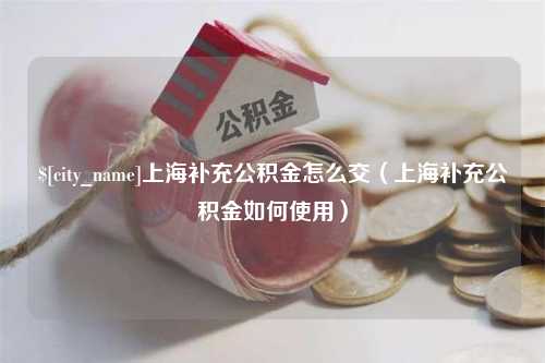 南漳上海补充公积金怎么交（上海补充公积金如何使用）